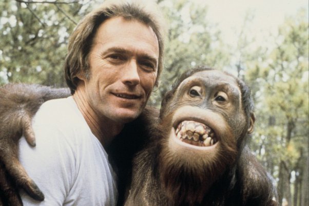 did eastwood considered a 3rd film with clyde the orangutan