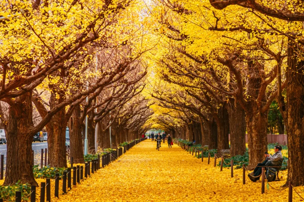 yellow spring road japan