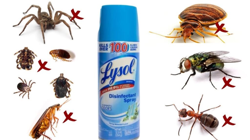 Lysol disinfectant spray can shown with images of roaches, spiders, bed bugs, fleas, flies, ants, and ticks, marked with red X symbols, indicating that Lysol is not an effective insect killer.