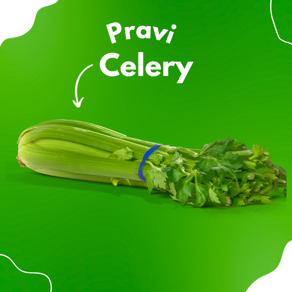 pravi celer